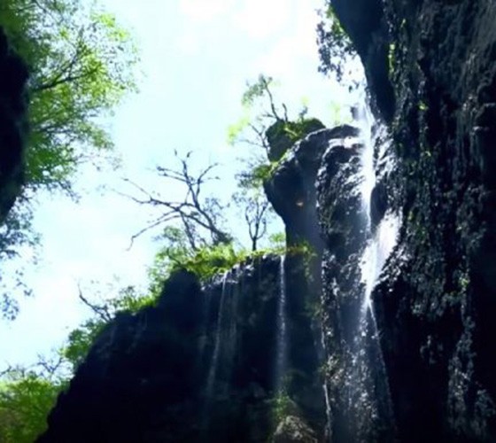 青山綠水，白龍江畔江畔息白鷺，兩岸綠橄欖入眼的都是純樸自然枝上花開(kāi)，春來(lái)水暖魚(yú)蝦戲水，鳥(niǎo)語(yǔ)花香心中充滿(mǎn)著舒暢之感祥宇生態(tài)產(chǎn)業(yè)園，位于隴南市武..